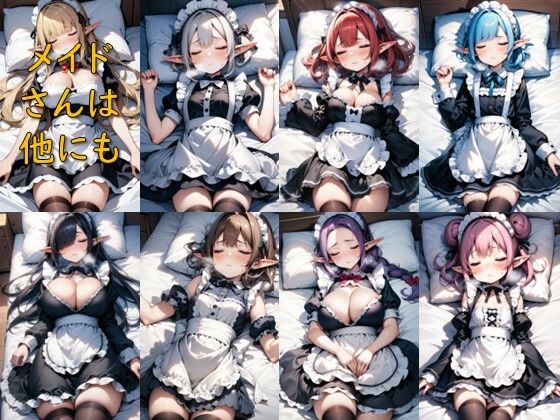 異世界ご奉仕学園_メイドエルフの夜●い実習 画像9