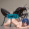 混成蟲 III型