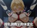 ヒロイン懐妊強●調教 シャ〇ロッ〇デュ〇ア編  全268枚