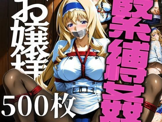 お嬢様を緊縛姦