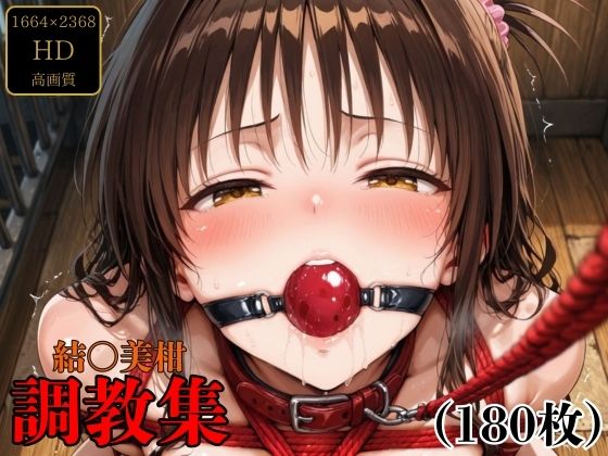 【調教奉行】同人CG・AI『結〇美柑調教集』