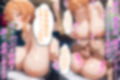 催〇妊娠支配ボテ腹快楽漬けで絶対服従-ガハママ-