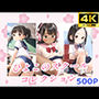 ひよこのスクールコレクション