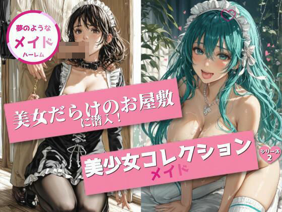 美少女コレクション 〜メイドハーレム2〜