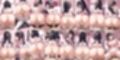 ご奉仕ピンクメイドに中出し放題【500枚】