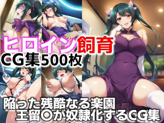 ヒロイン飼育  陥った残酷なる楽園  王留〇が奴●化するCG集