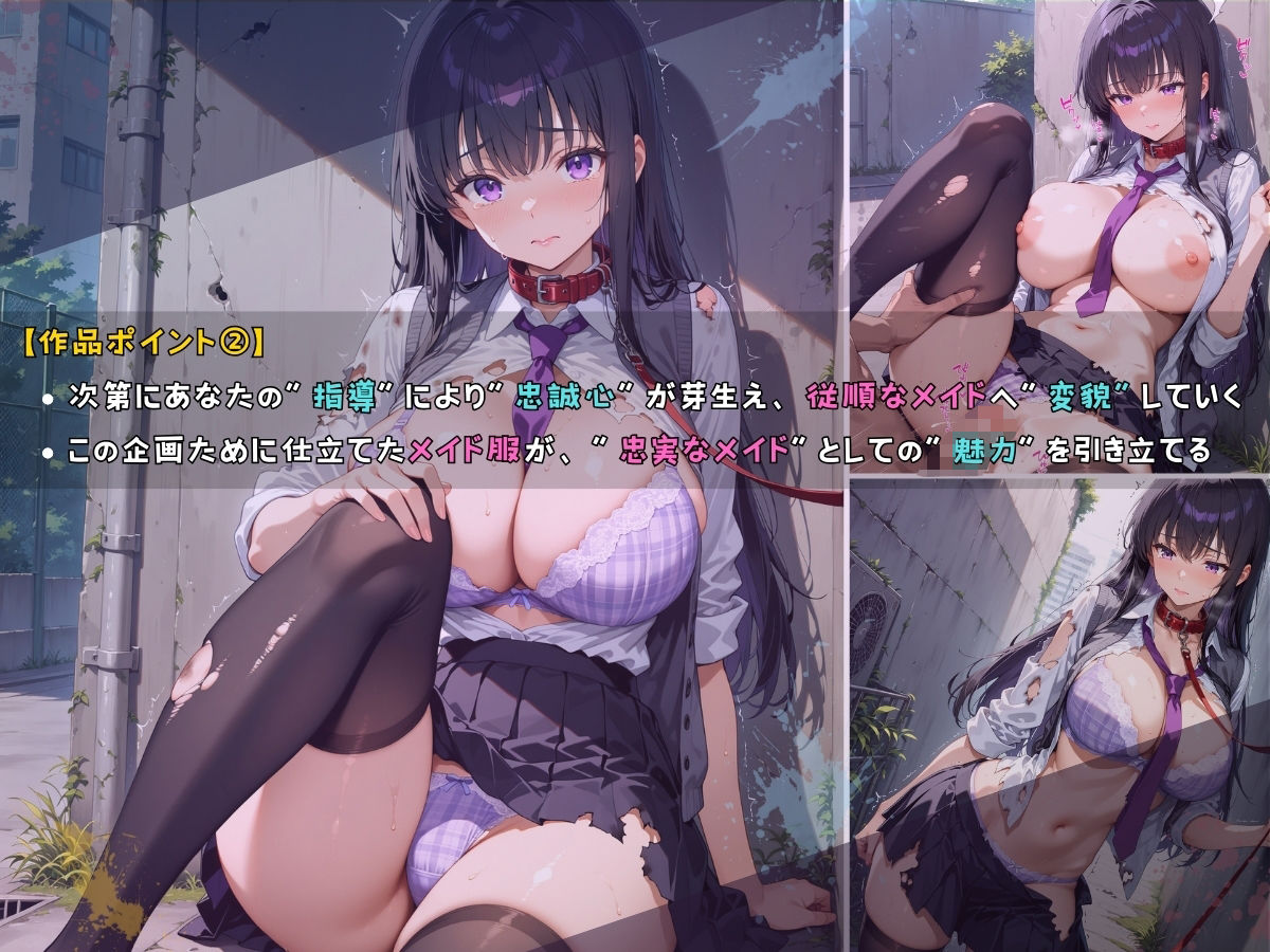 女子校生 メイド 深夜ノ公園で首輪をつけて指導してみた件 画像3