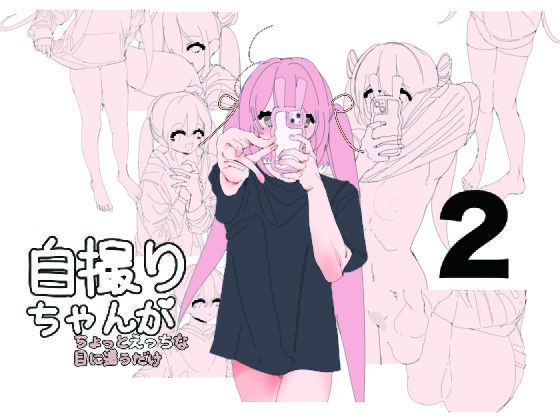 自撮りちゃんがちょっとえっちな目に遭うだけ2