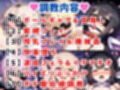 F●te/Grand Order調教CG集総集編【1000枚全4キャラ/イリヤ/美遊/セイバー/マシュ】