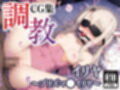 F●te/Grand Order調教CG集総集編【1000枚全4キャラ/イリヤ/美遊/セイバー/マシュ】