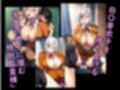 ヒロイン飼育  裏生徒会の暴君・白〇芽衣子が改造され奴〇化するCG集