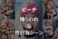 催●シーサイドビーチ 〜モモ・ベリア・デビルーク編〜