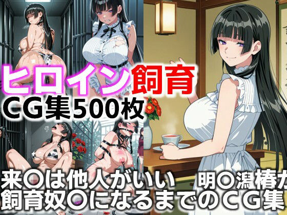 d_640714｜ヒロイン飼育  来〇は他人がいい  明〇潟椿が躾けられ飼育奴〇になるまでのCG集【C.C.WORKS】
