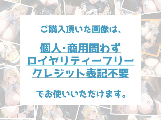 【訳あり】ロイヤリティフリー・パッケージ画像素材集:よがる修道士さん+おまけ 画像9