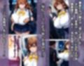 敗北した魔法少女エリオナ【車内輪〇編】