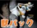 ケモナー界隈に旋風を巻き起こしたATLYSS（アトリス）のアンジェラが黒人とエッチを楽しむ動画セット