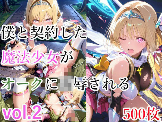僕と契約した魔法少女がオークに凌●される vol.2