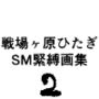 戦場ヶ原ひたぎSM緊縛画集2