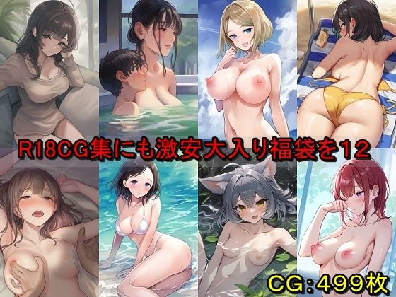 R18CG集にも激安大入り福袋を12