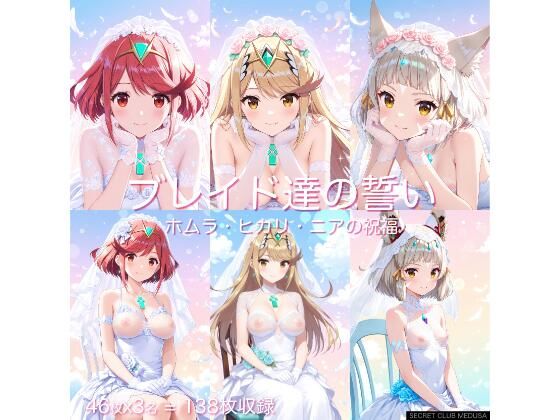 【Xenoblade2】ブレイド達の誓い -ホムラ・ヒカリ・ニアの祝福-