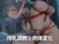 ヒロイン懐妊強●調教 佐〇  涙〇編全277枚