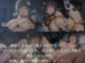 ヒロイン懐妊強●調教 佐〇  涙〇編全277枚
