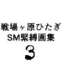 戦場ヶ原ひたぎSM緊縛画集3