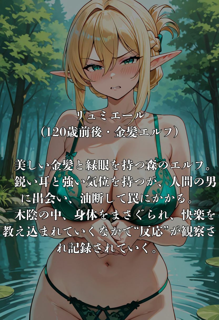 サンプル画像1:はぐれエルフの調教日記(50パーセントスタジオ) [d_646746]