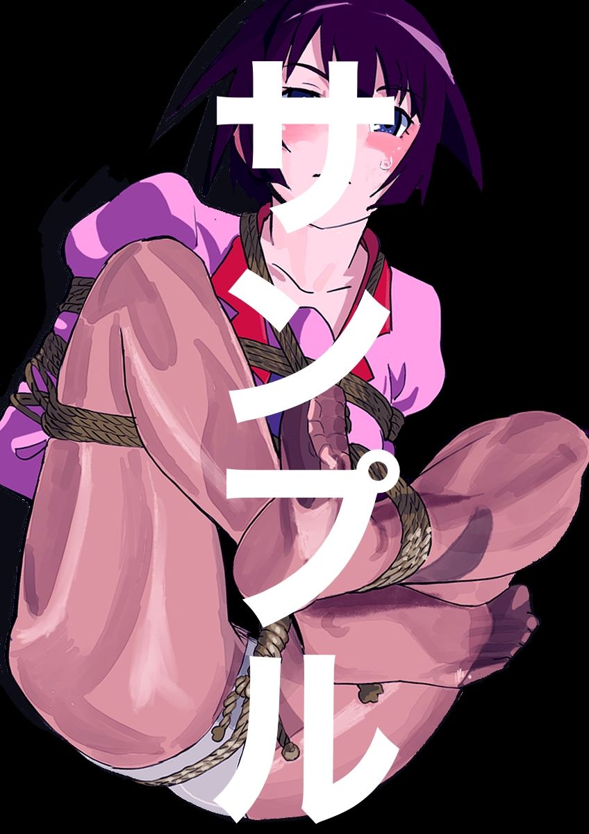 サンプル画像1:戦場ヶ原ひたぎSM緊縛画集4(縛っちゃうおじさん) [d_646813]