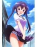 風のいたずらセット