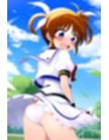風のいたずらセット