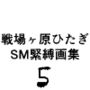 戦場ヶ原ひたぎSM緊縛画集5