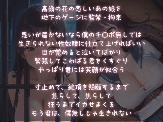 監禁調教オナペット2〜アヘ顔メス堕ちさせられたJK〜 画像1
