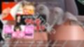 Let’s Speak English！！二階堂沙耶アナウンサーの変態ニュースジャパン（Hentai News Japan）2025シリーズ＃004-E ［裏オプションの甘い罠とその危険性・対処法］
