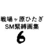 戦場ヶ原ひたぎSM緊縛画集6