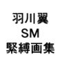 羽川翼SM緊縛画集