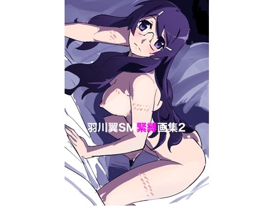 羽川翼SM緊縛画集2