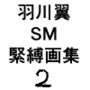 羽川翼SM緊縛画集2