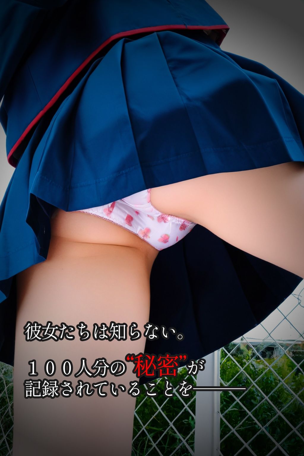 サンプル画像3:【盗撮100人斬り】無防備JKをストーキング。パンチラ隠し撮りの全記録。3(びろびろまん) [d_650095]