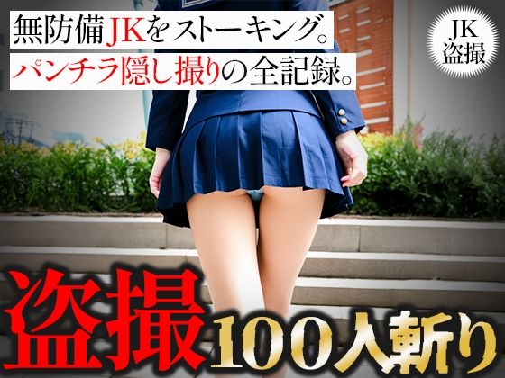 【盗撮100人斬り】無防備JKをストーキング。パンチラ隠し撮りの全記録。4【びろびろまん】
