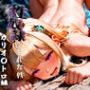 憧れの処女ヒロインが性奴●にされた件-カリオ○トロ編-
