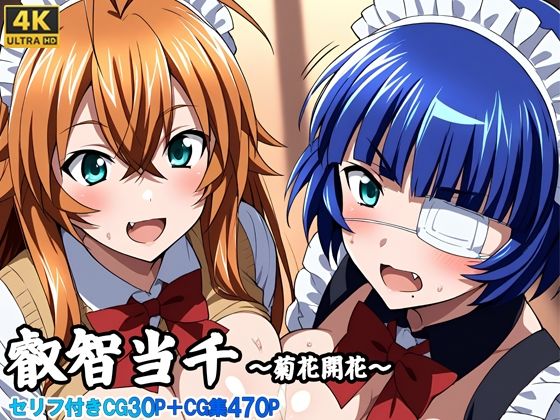 叡知当千〜菊花開花〜【さきっぽ5センチメートル】
