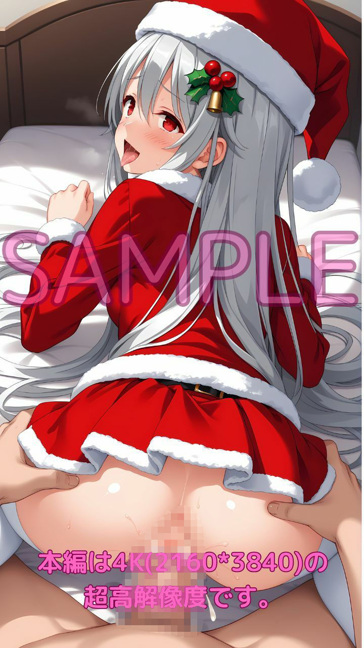 童貞ゲス野郎は透明ミニスカサンタの夢を見ない 画像8