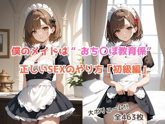僕のメイドはおち〇ぽ教育係〜正しいSEXのやり方【初級編】
