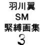 羽川翼SM緊縛画集3