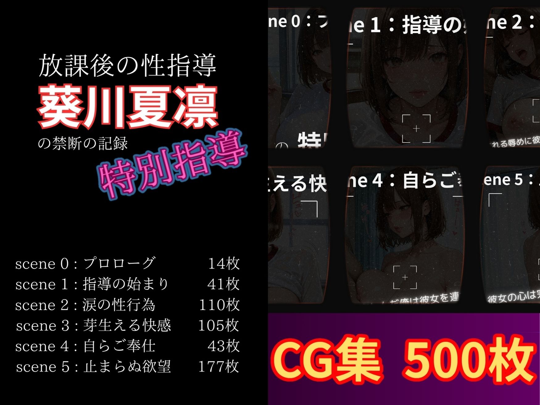 放課後の性指導 〜葵川夏凛の禁断の記録-ハメ撮り 画像1