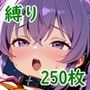 緊縛コレクション〜縄に刻まれた快楽〜