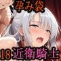［亡国の孕み袋］ 〜帝国軍は国を挙げての強●魔〜   第18部 占領されし王国 近衛騎士編