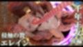 千年王女エレイン 侵触の贄 後編