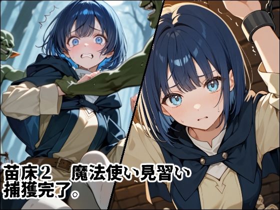 サンプル画像4:苗床捕獲 初クエストでゴブリンの大群に持ち帰られる少女たち(えすおー) [d_654249]